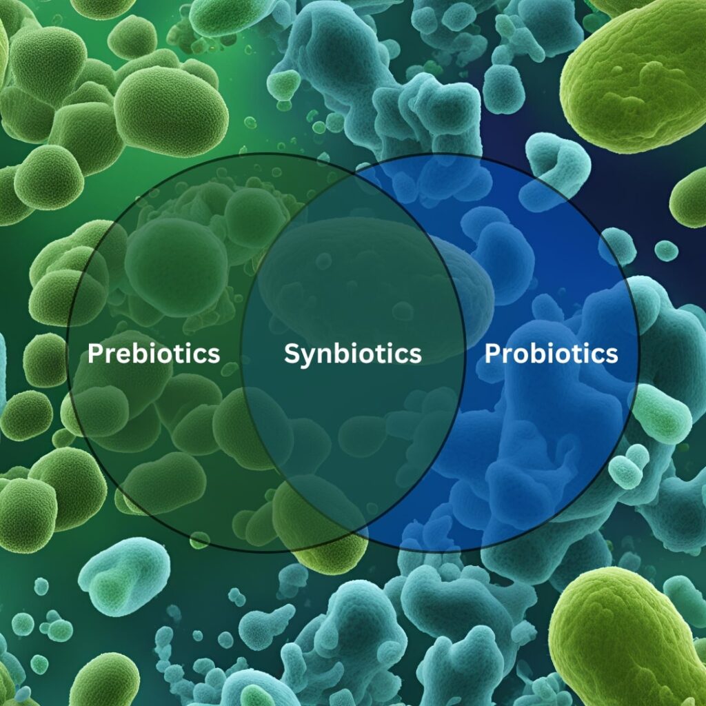 Synbiotics is the combined effect of prebiotics and probiotics.