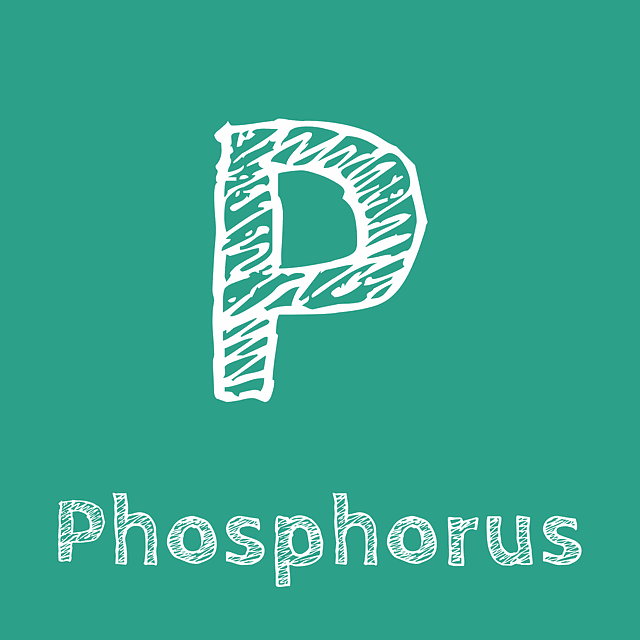 Minerals and Oral Health: Phosphorus for a Better Smile